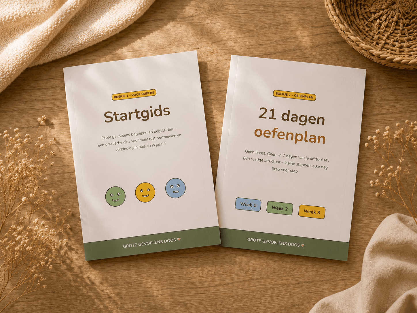 Startgids en 21-dagen oefenplan